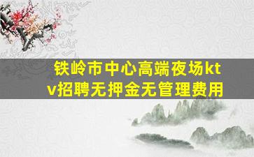 铁岭市中心高端夜场ktv招聘无押金无管理费用
